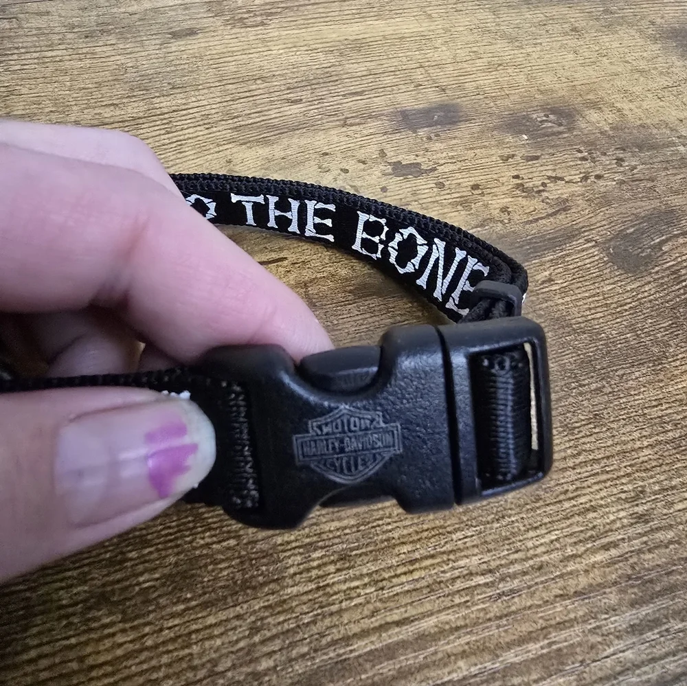 Vintage Harley Davidson 2002 Black 'Bad to the Bone' Dog Collar
